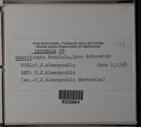 Image Associated With the Occurence